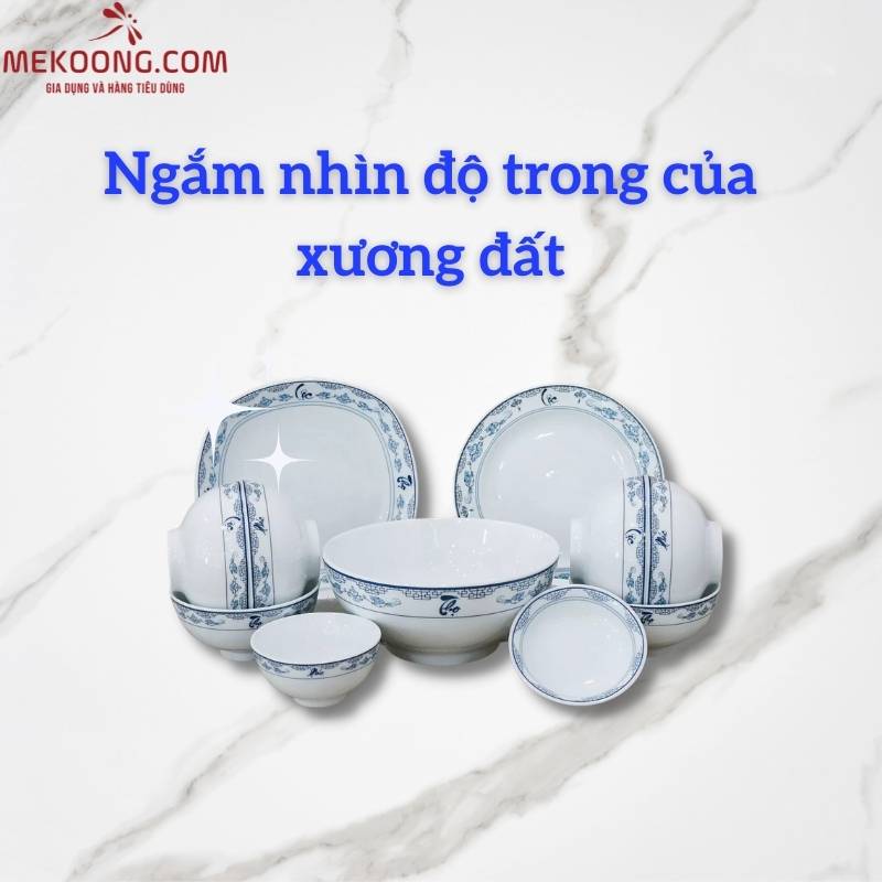 Ngắm nhìn độ trong của xương đất