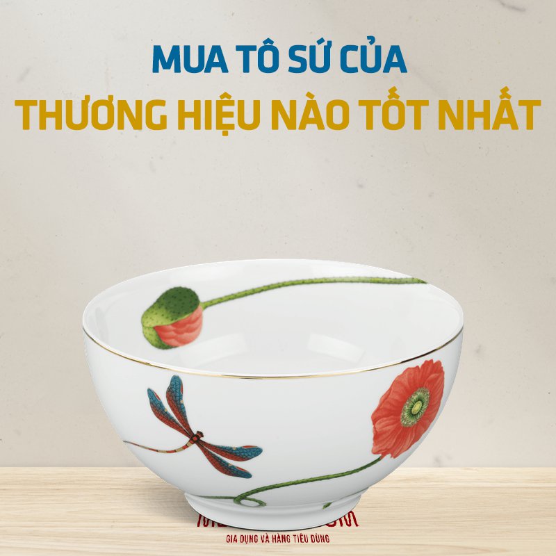 Mua tô sứ của thương hiệu nào tốt nhất