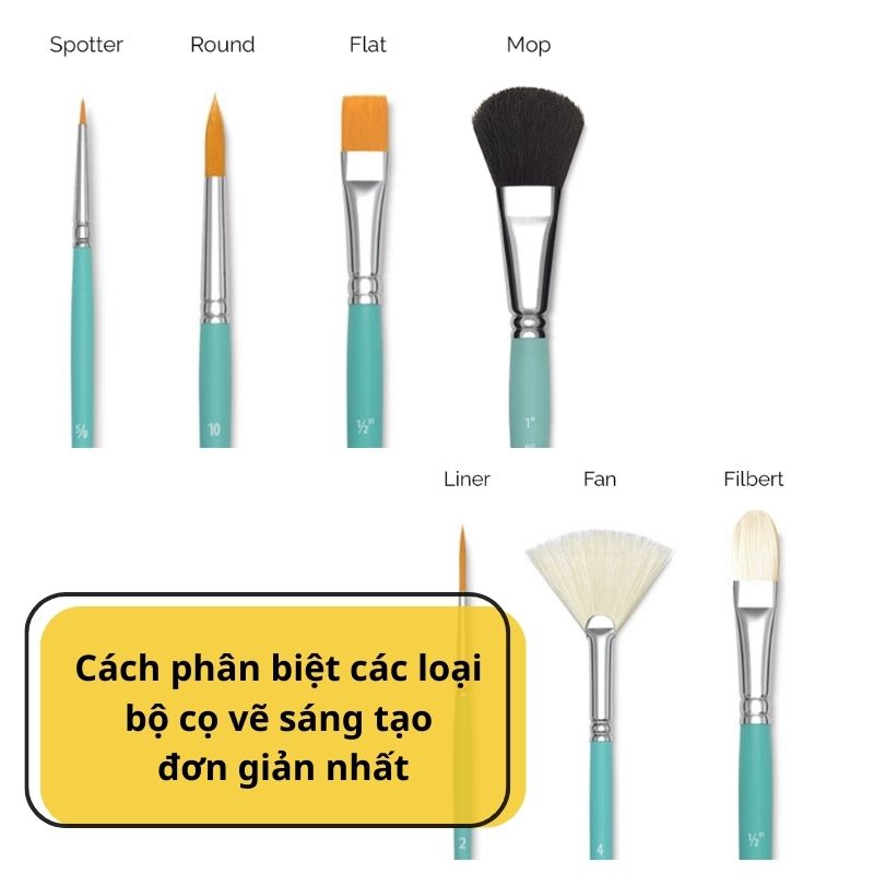 Cách phân biệt các loại bộ cọ vẽ sáng tạo đơn giản nhất