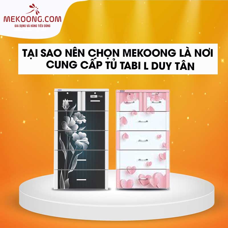 Tại sao nên chọn Mekoong là nơi cung cấp Tủ Tabi L Duy Tân