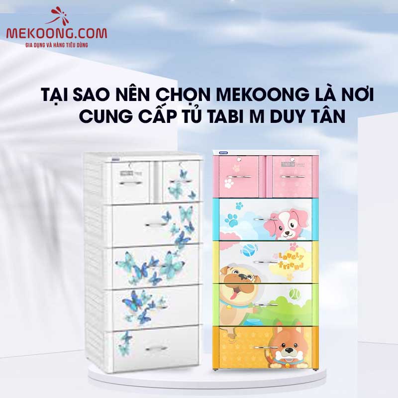 Tại sao nên chọn Mekoong là nơi cung cấp Tủ Tabi M Duy Tân