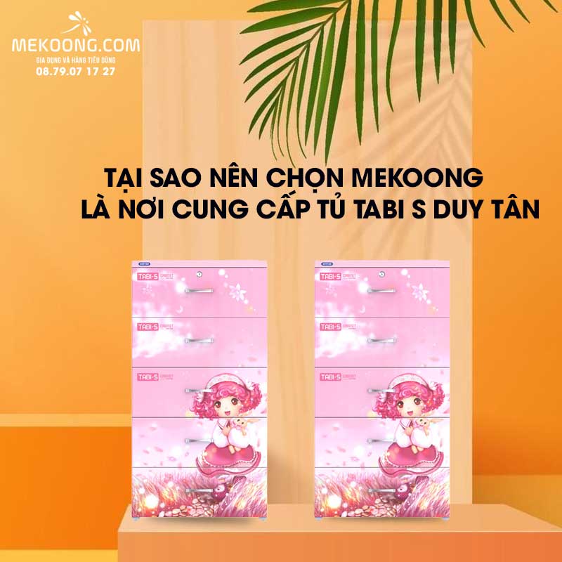 Tại sao nên chọn Mekoong là nơi cung cấp Tủ Tabi S Duy Tân