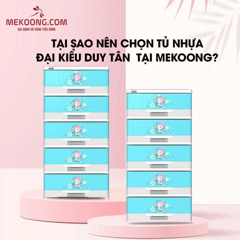 Tại nên chọn Tủ nhựa Đại kiểu Duy Tân Tại Mekoong?