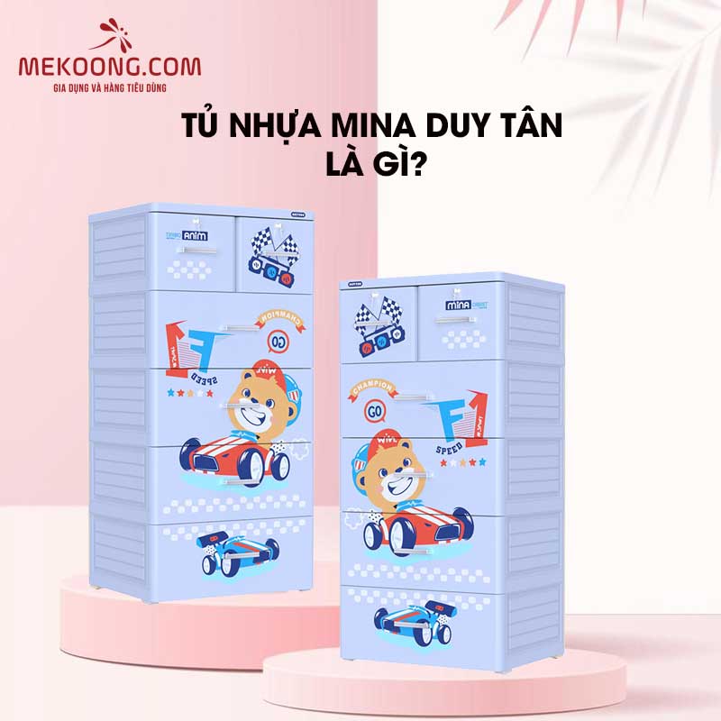 Tủ Nhựa Mina Duy Tân là gì