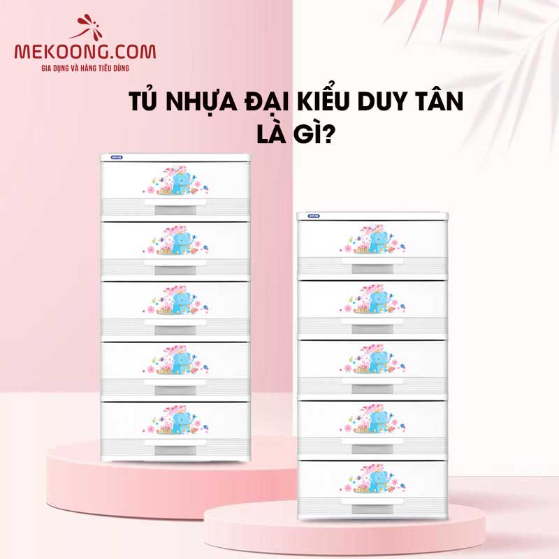 Tủ nhựa Đại kiểu Duy Tân là gì?