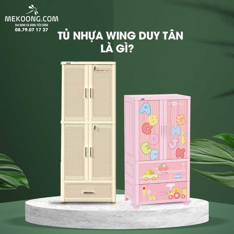 Tủ nhựa Wing Duy Tân là gì