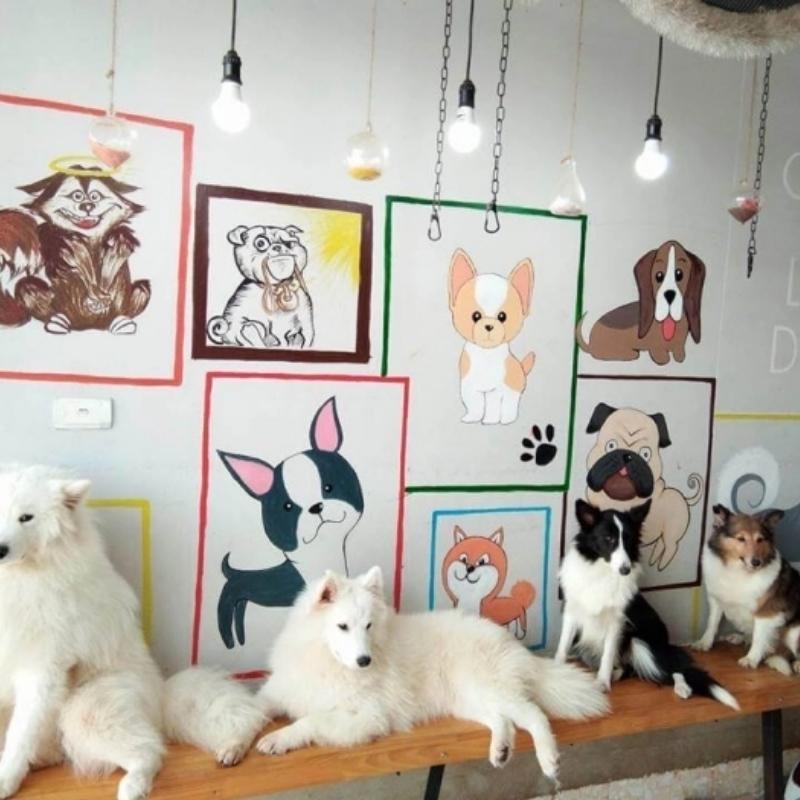Cafe thú cưng ở Sài Gòn Tea&pets