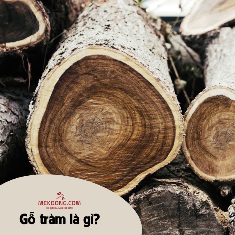 Gỗ tràm là gì?