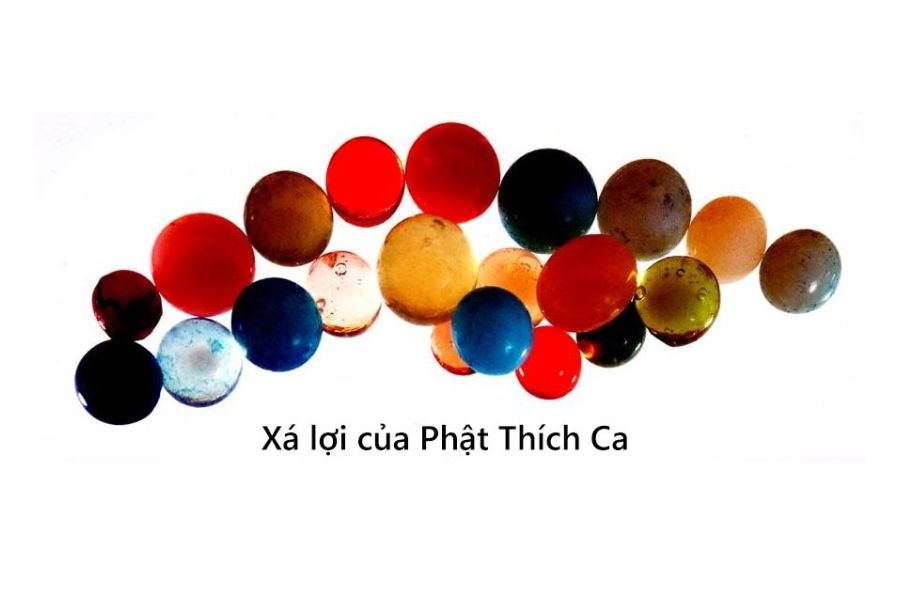 Hình Ảnh Xá Lợi Phật 4