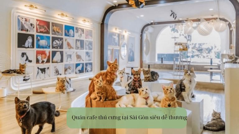 Quán cafe thú cưng tại Sài Gòn siêu dễ thương