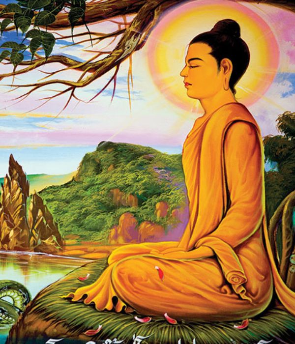 Avatar mừng lễ Phật Thích Ca Thành Đạo 8-12-Âm Lịch - Phật Giáo Đà Nẵng |  Phật Giáo Đà Nẵng
