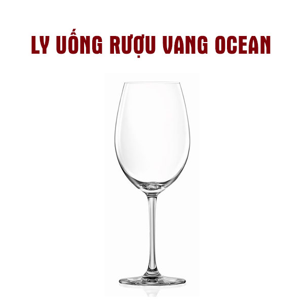 Ly uống rượu vang ocean