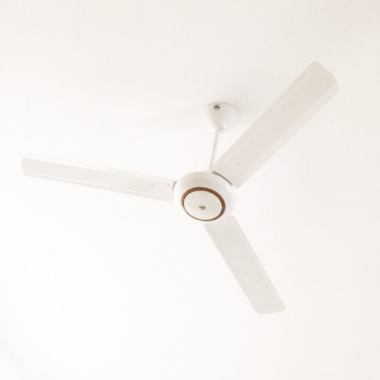 quạt trần 3 cánh