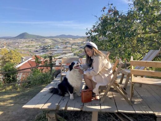 túi mơ to đà lạt