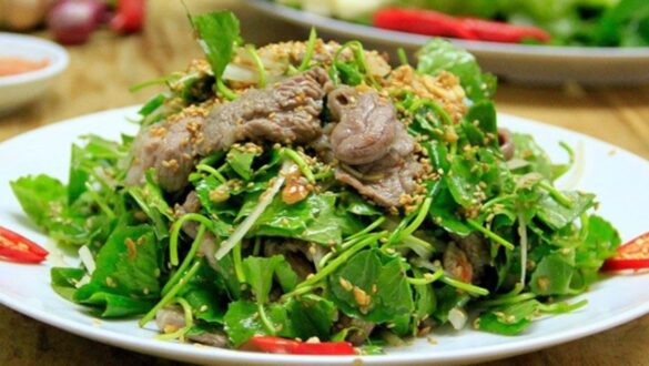 Giới thiệu về món goit bò rau muống