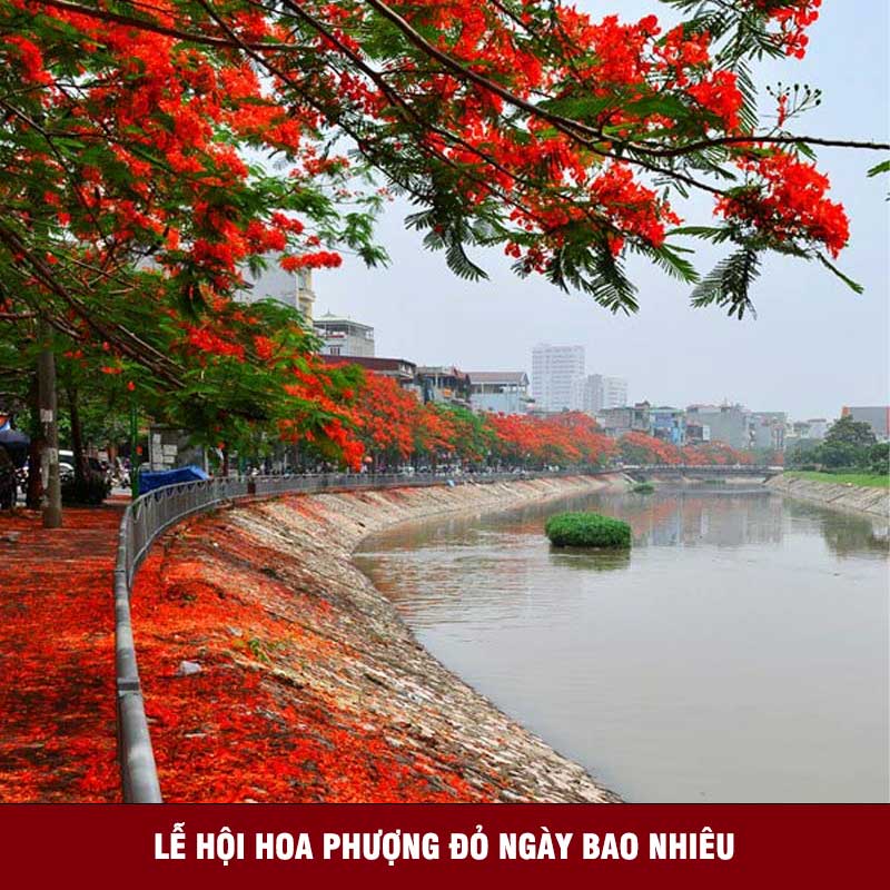 Lễ hội Hoa Phượng đỏ diễn ra ngày nào