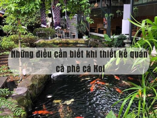Những điều cần biết khi thiết kế quán cà phê cá koi