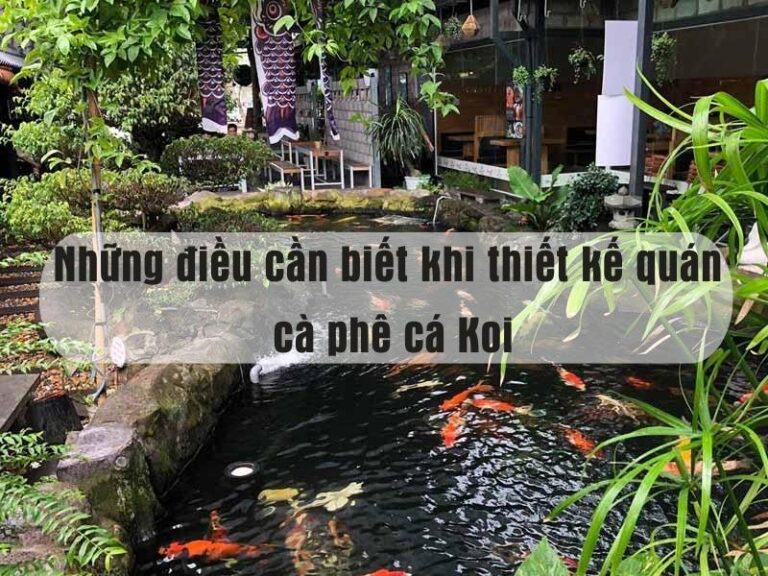 Những điều cần biết khi thiết kế quán cà phê cá koi