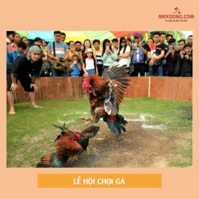 Lễ hội chọi gà