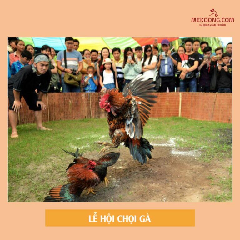 Lễ hội chọi gà