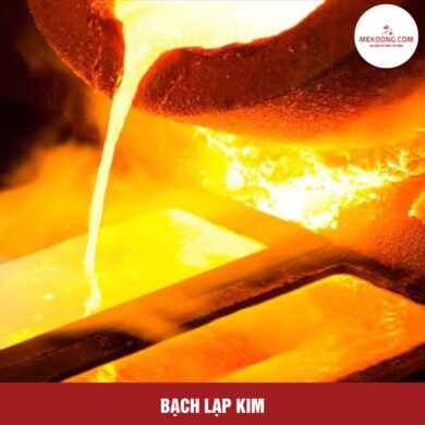 Bạch Lạp Kim