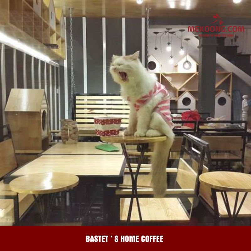 Bastet ’ s Home Coffee 