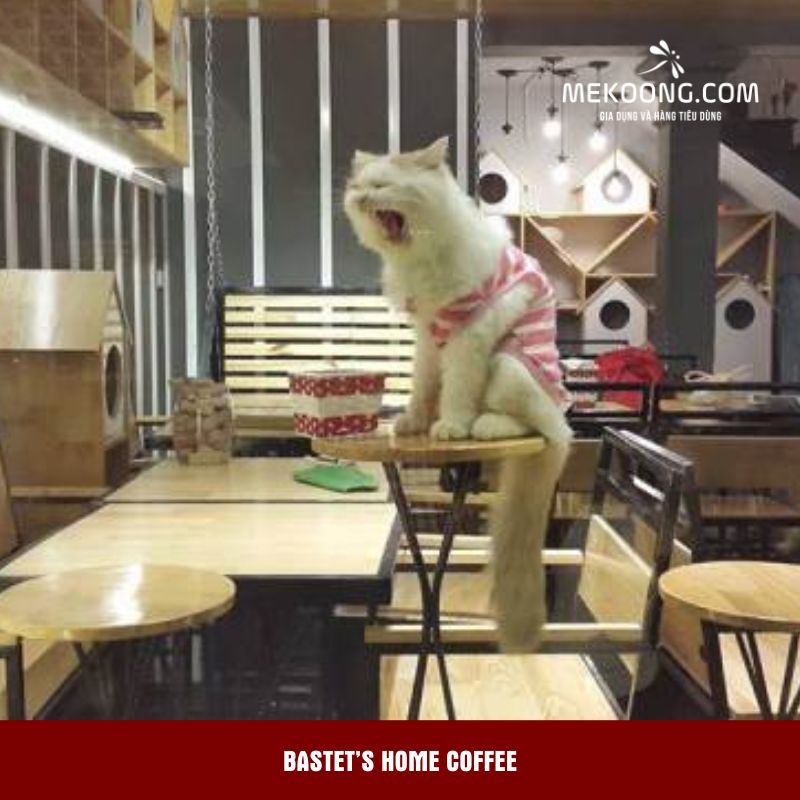 Bastet’s Home Coffee