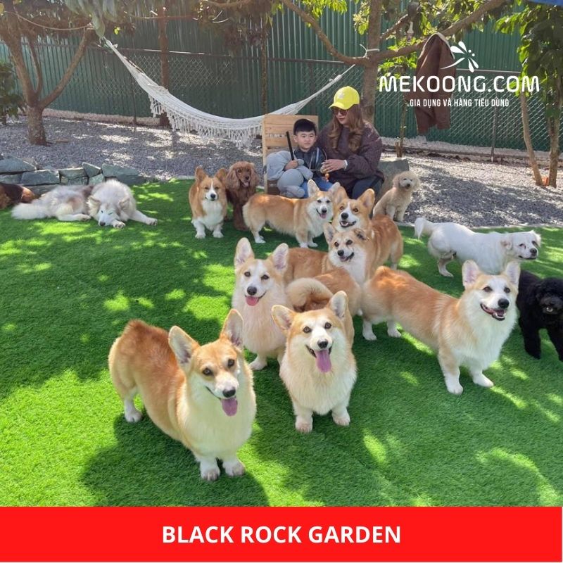 Black Rock Garden