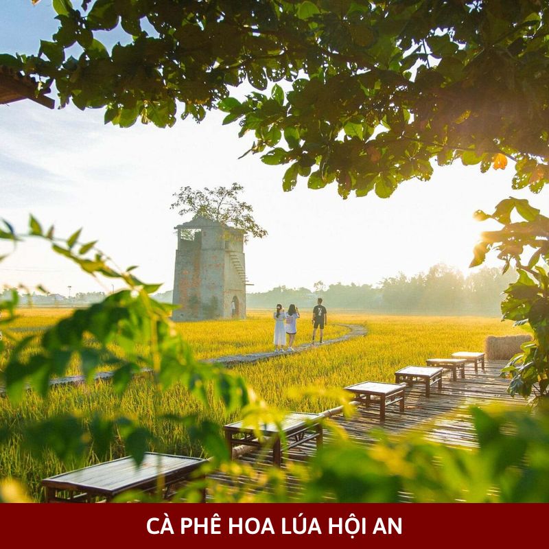 Cà phê hoa lúa Hội An