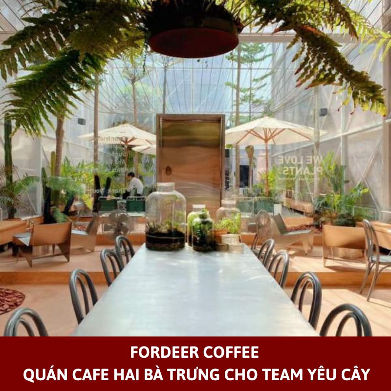 Fordeer Coffee – quán cafe Hai Bà Trưng cho team yêu cây