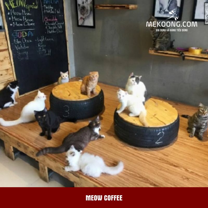 Meow Coffee