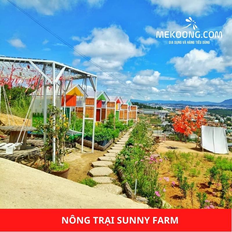 Nông trại Sunny Farm