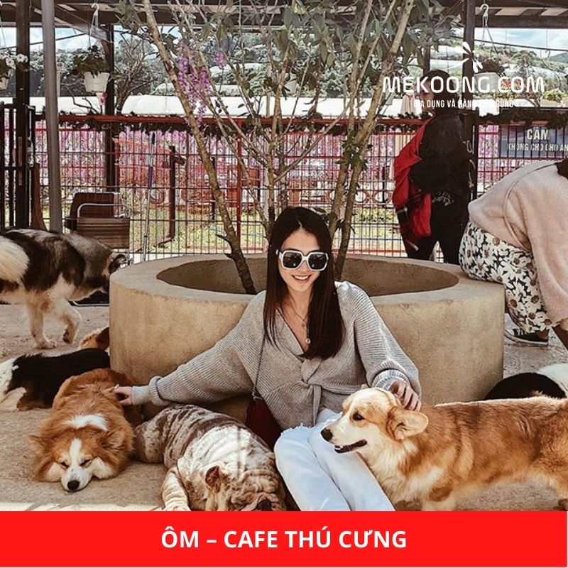 Ôm – Cafe Thú Cưng