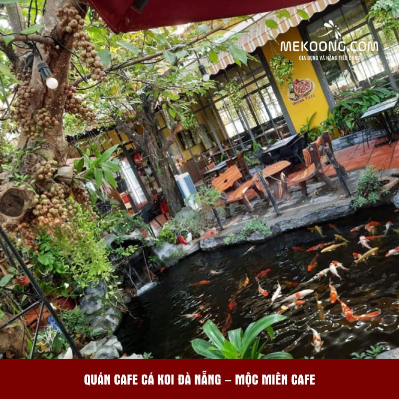 Quán Cafe Cá Koi Đà Nẵng – Mộc Miên Cafe