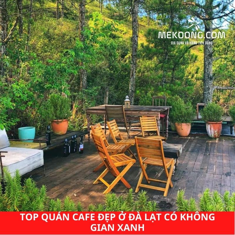 TOP quán cafe đẹp ở Đà Lạt có không gian xanh