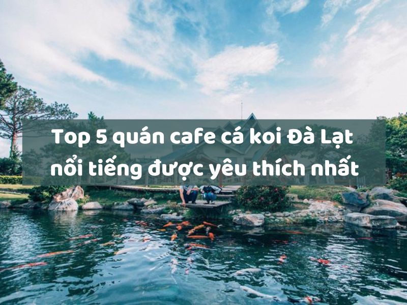 Top 5 quán cafe cá koi Đà Lạt nổi tiếng được yêu thích nhất
