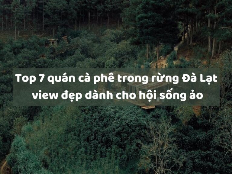 Top 7 quán cà phê trong rừng Đà Lạt view đẹp dành cho hội sống ảo