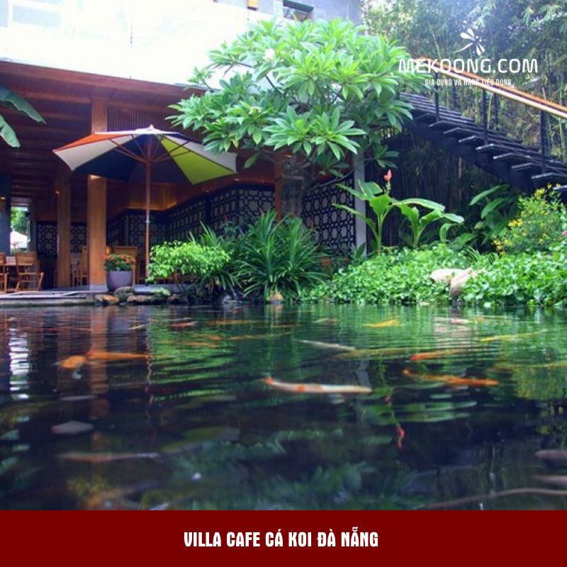 Villa Cafe cá koi Đà Nẵng 