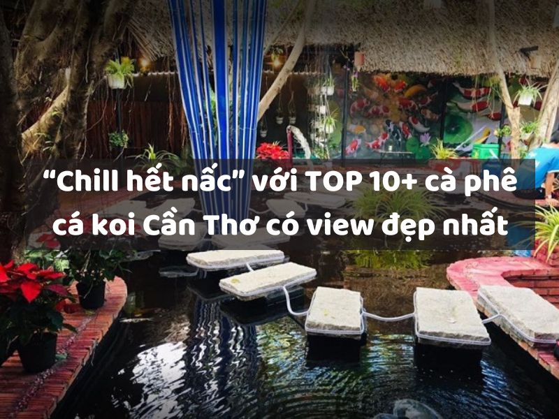 “Chill hết nấc” với TOP 10+ cà phê cá koi Cần Thơ có view đẹp nhất