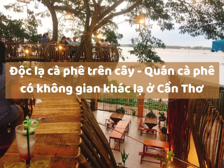 cà phê trên cây Cần Thơ