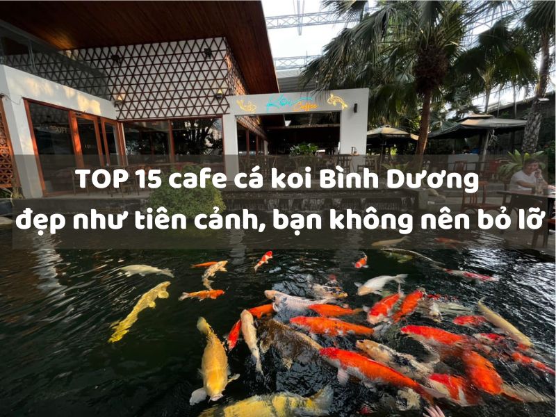 TOP 15 cafe cá koi Bình Dương đẹp như tiên cảnh, bạn không nên bỏ lỡ