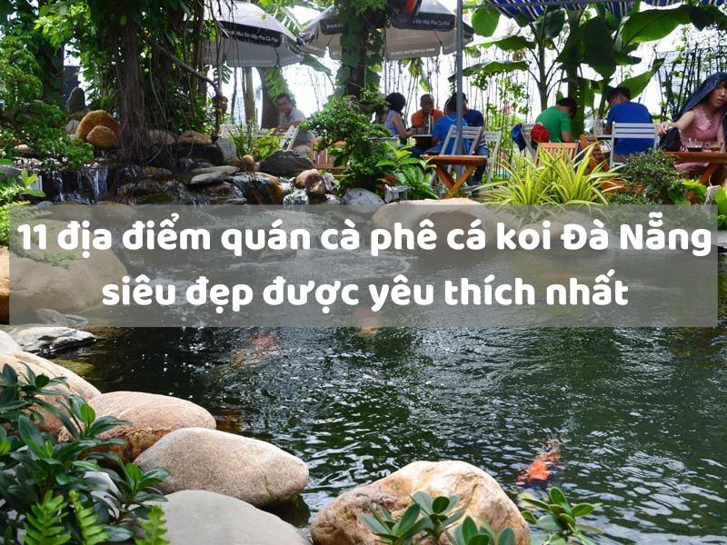 11 địa điểm quán cà phê cá koi Đà Nẵng siêu đẹp được yêu thích nhất