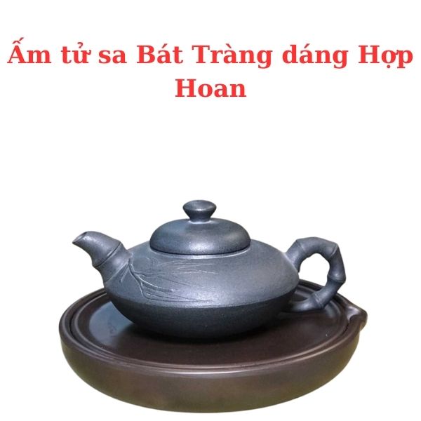 Ấm tử sa Bát Tràng dáng Hợp Hoan