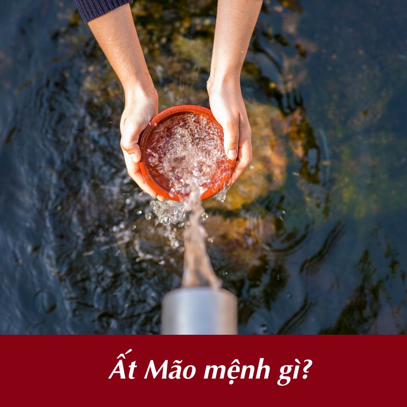 Ất Mão mệnh gì?