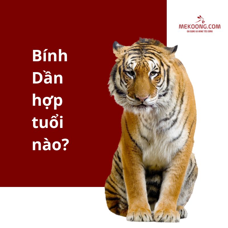 Bính Dần hợp tuổi nào?
