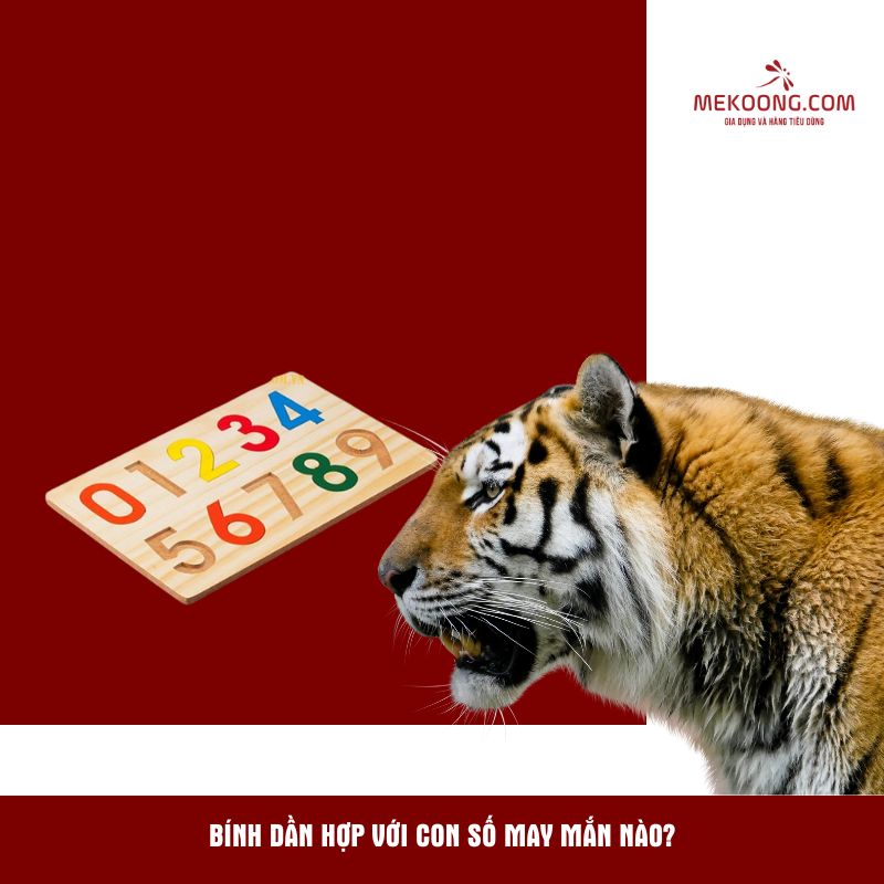 Bính Dần hợp với con số may mắn nào?