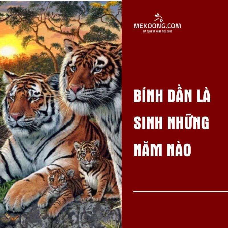 Bính Dần là sinh những năm nào 