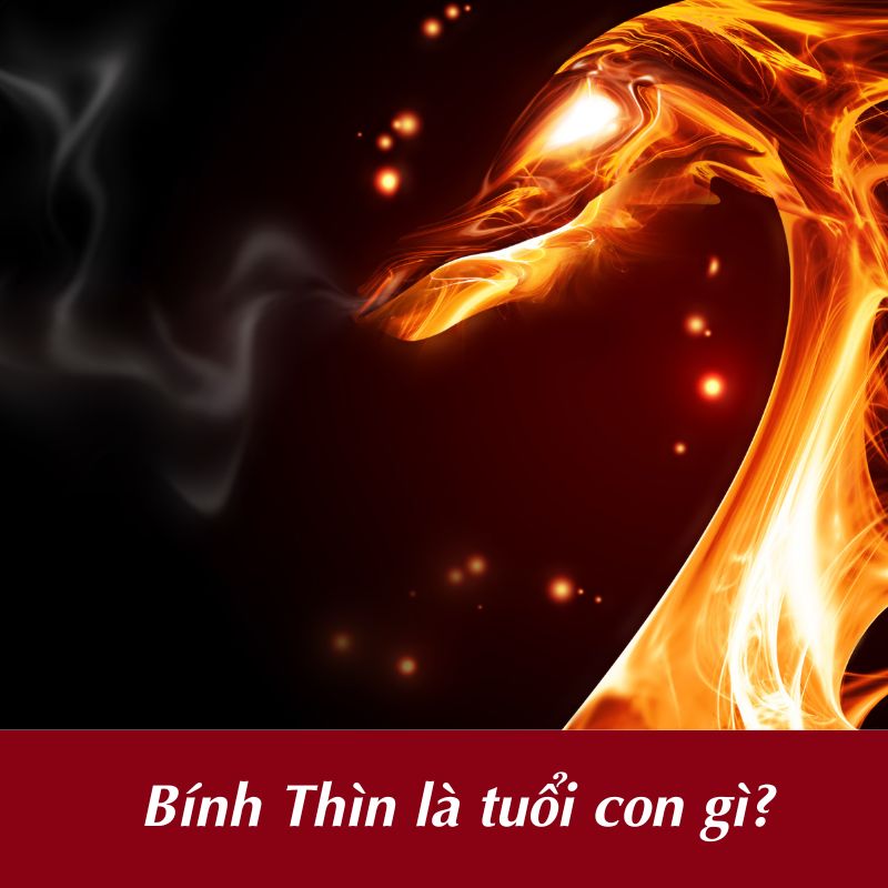 Bính Thìn là tuổi con gì?