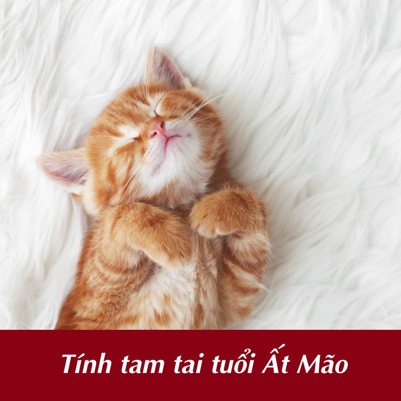 Cách tính tam tai tuổi Ất Mão