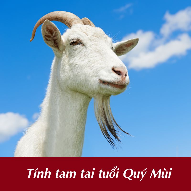 Cách tính tam tai tuổi Quý Mùi 